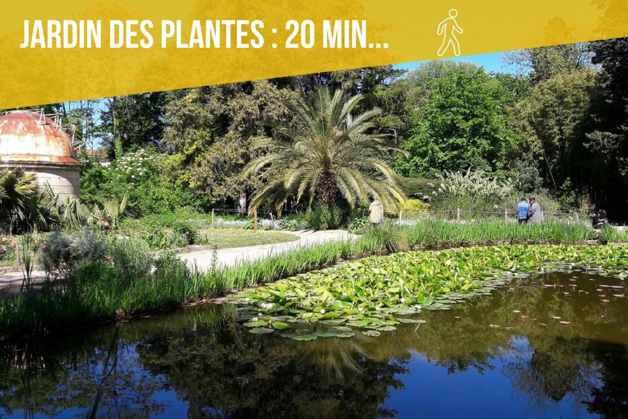 Amja Proche Clinique Saint-Roch Apt 3 Chambres 3 Salles De Bain Parking Gratuit Ideal Famille Groupe Coworking 10 Min Centre Ville 10 Min Plage 5 Min Sortie Autoroute Montpellier Eksteriør bilde