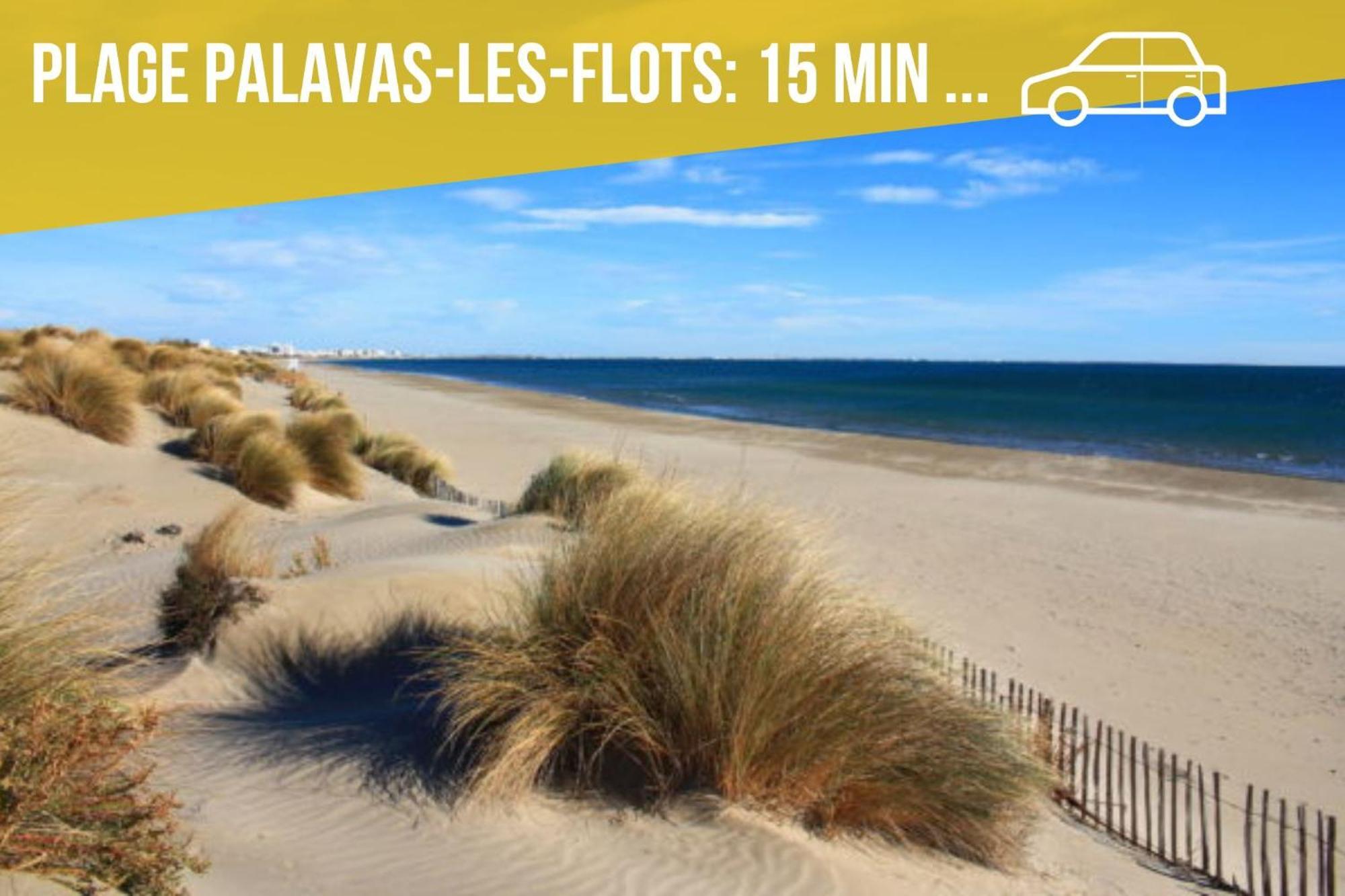 Amja Proche Clinique Saint-Roch Apt 3 Chambres 3 Salles De Bain Parking Gratuit Ideal Famille Groupe Coworking 10 Min Centre Ville 10 Min Plage 5 Min Sortie Autoroute Montpellier Eksteriør bilde