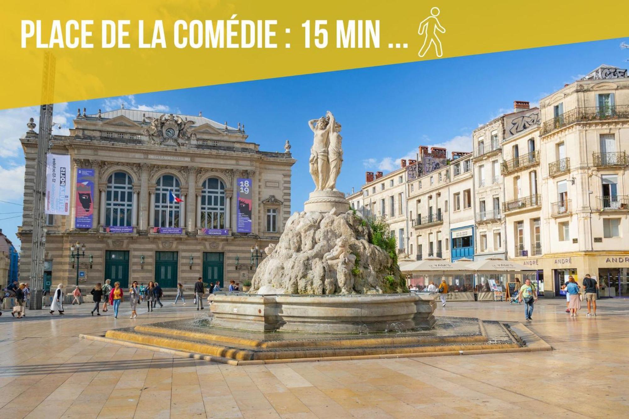 Amja Proche Clinique Saint-Roch Apt 3 Chambres 3 Salles De Bain Parking Gratuit Ideal Famille Groupe Coworking 10 Min Centre Ville 10 Min Plage 5 Min Sortie Autoroute Montpellier Eksteriør bilde